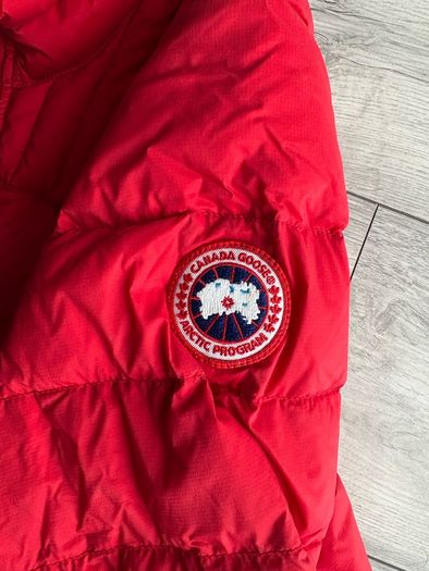 canada goose