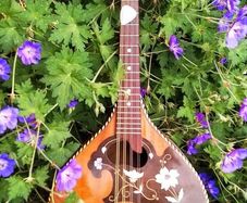 Mandolin for sale (Open to Reasonable Offers)
