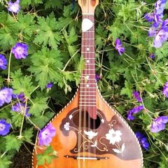 Mandolin for sale