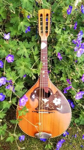 Mandolin