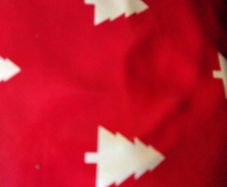 Christmas PVC Table Cover (NEW)