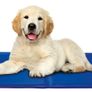 Pet Nova Dog Cooling Mat S 50x40cm Image 5