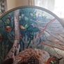 owl Image 6