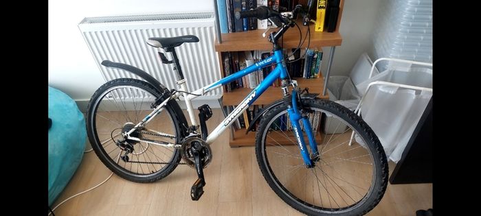 Good bike, needs service before use