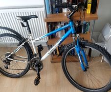 Good bike, needs service before use