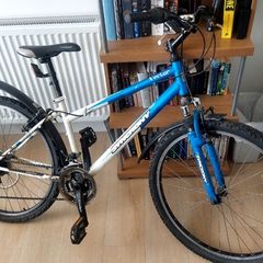 Good bike, needs service before use