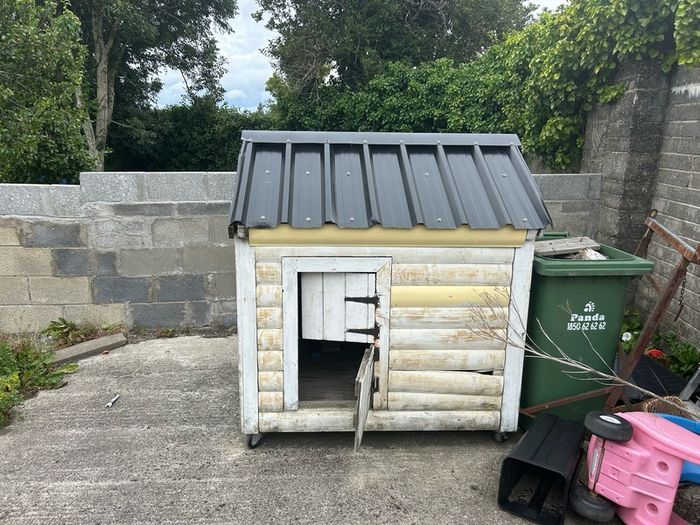 large dog kennel