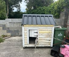 large dog kennel