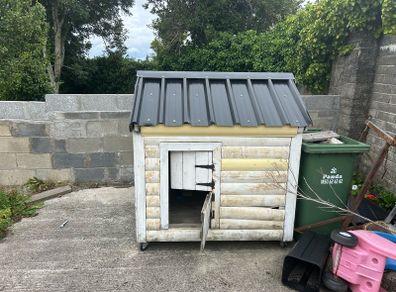 large dog kennel