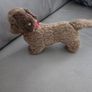steiff daschund, from 1950,collectible Image 5