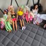 Barbies and Accessories Image 4