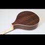 Andy Tobin Bouzouki Image 5