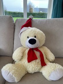 Teddy with Santa Hat