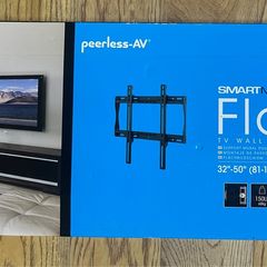 Peerless Av Mount tv
