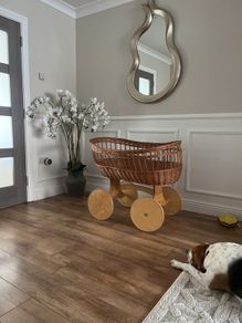 baby basket