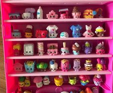 Shopkins collection with case