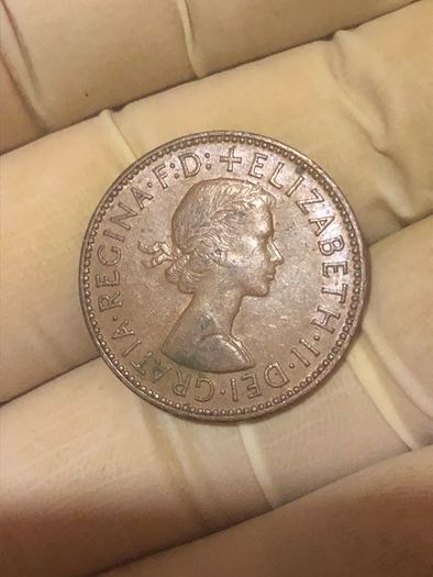 Elizabeth Halfpenny  x28 Pictures of each coin