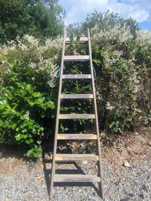 painters ladder