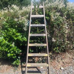 painters ladder