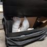 Bike Box Image 10
