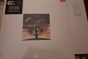 Talk Talk - Laughing Stock - NM - in plastic wrap - played once