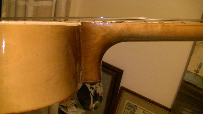 LARK Guitar