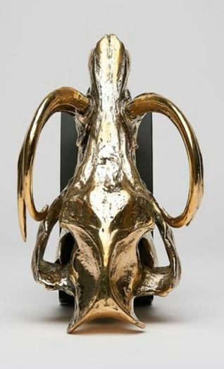 Wild Pig Skull (30cm) - Polished Bronze