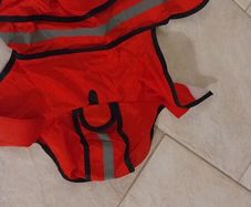 Dog coats x 2