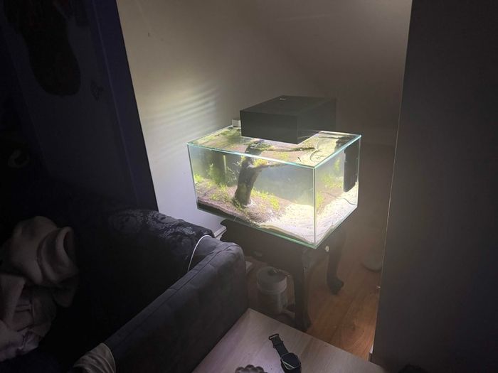 Fluval 23l Fishtank