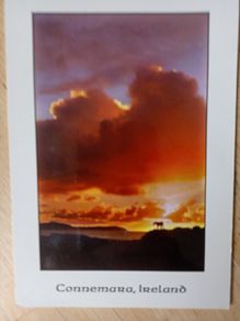Postcard
