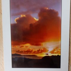 Postcard