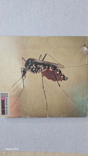 The Weeks - Dear Bo Jackson.