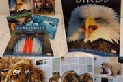 Animal: The Definitive Visual Guide encyclopedia reference books