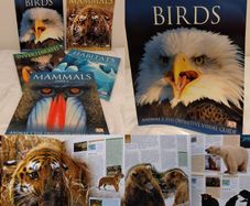 Animal: The Definitive Visual Guide encyclopedia reference books