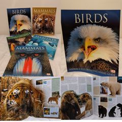Animal: The Definitive Visual Guide encyclopedia reference books