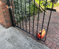 Wrought Iron Gates