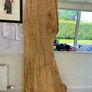 spalted beech slab Image 2