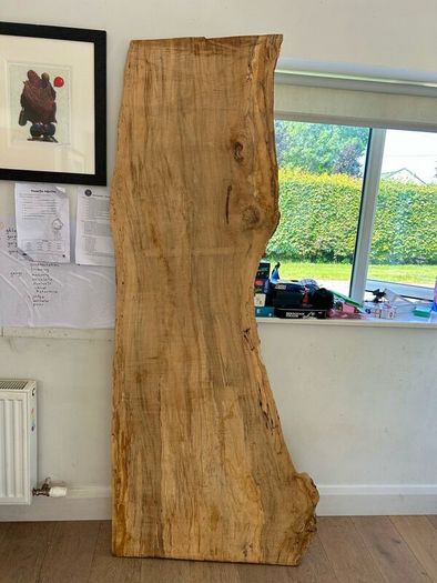 spalted beech slab