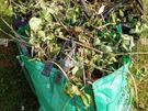 rubbish removal Image 8