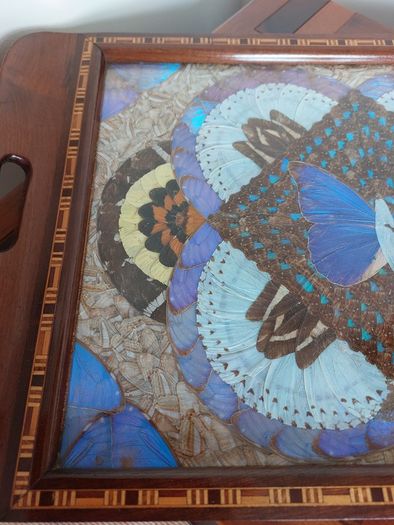 Vintage Brazilian Inlaid Iridescent Morpho Butterfly Wing Hardwood Tray
