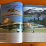 War book: 'Air Forces Of The World' Image 7