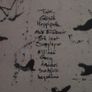 Sigur Ros - Takk CD Image 2