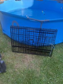 dog cage