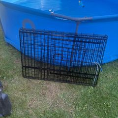 dog cage