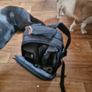Olympus M10ii digital camera plus 3 lenses..as is Image 10