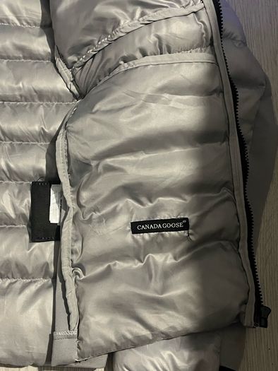canada goose