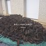 firewood  Mullingar Image 5
