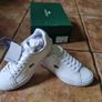 Lacoste women  New shoes Image 2