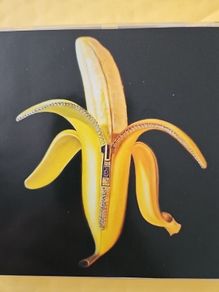 The Dandy Warhols - Welcome To The Monkey House.