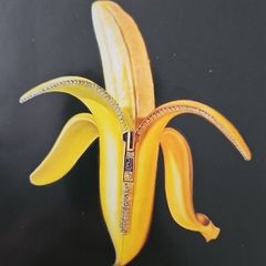 The Dandy Warhols - Welcome To The Monkey House.